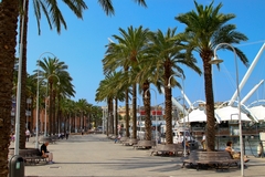 Janov
