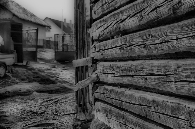 Ruska vola