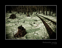 Račanské cesty