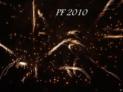 PF 2010