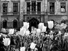 Spring in abandoned mansion