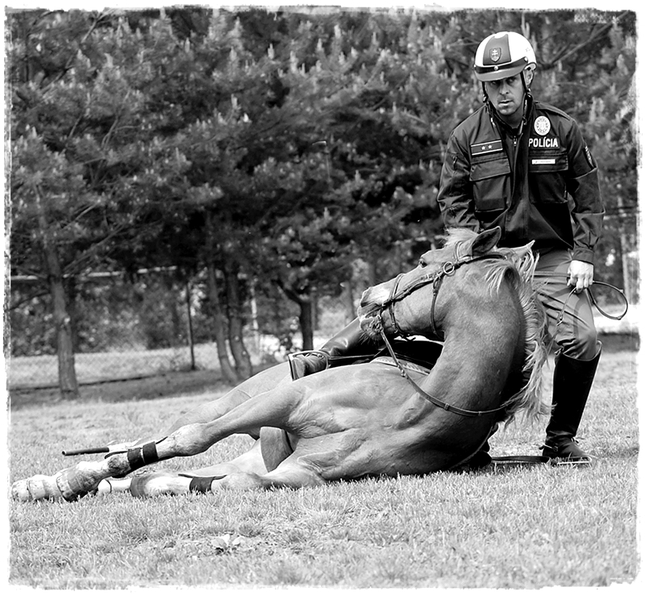 policajt a kôň