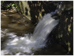 ++