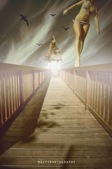 SUICIDEBRIDGE