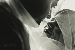 WEDDINGLOVE