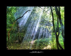 SHINE