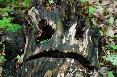 ...a že strašidlá neexistujú...