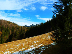 Vlek na suchu