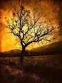Alone in the Dark