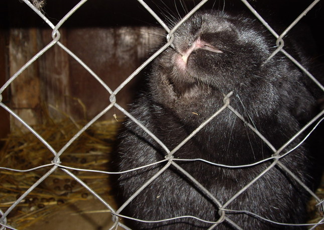 Mám obrovský hlad...