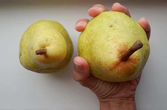 s pears