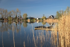 Rybník