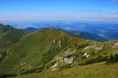 Orava