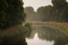 Still water