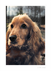 Please Take Me