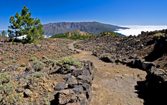 La Palma, hřebenovka