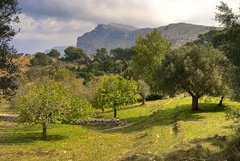 Podzimní Mallorca 