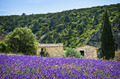 Provence