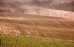 Krajina jižní Moravy