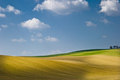 Křivky krajiny
