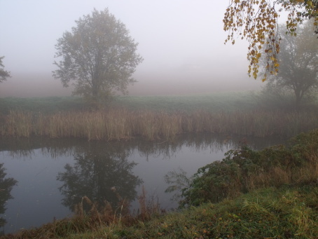 Mlhavé ráno nad rybníčkem