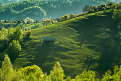 transilvania