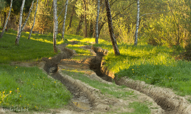 koľaje