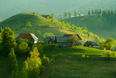 transilvania II