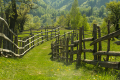 transilvania III