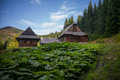 Vychylovka