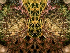 abstract from nature