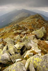 Hrebeňovka