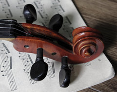 violin
