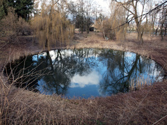 Jazierko_2