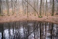zrkadlo