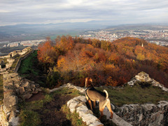 hrad ubránim