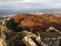 hrad ubránim