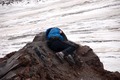 Elbrus: Strecha Európy