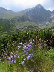 Lomničák