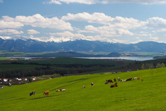 Liptovské výhľady