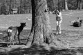 Wildpark Ernstbrunn