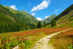rackova dolina art rezim