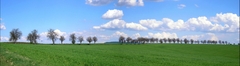 Kopanice