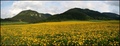 Krajina