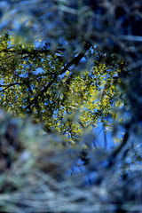 paralelne svety v bazinach