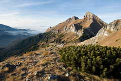 Ždiarska vidla
