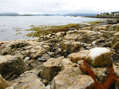 Sommaroy island