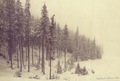 1961