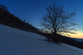 podvečer