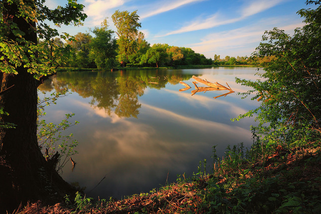 v rybárskej tôni ...